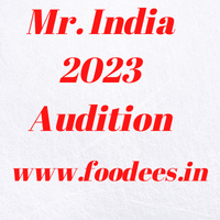 Mr. India 2023 Audition