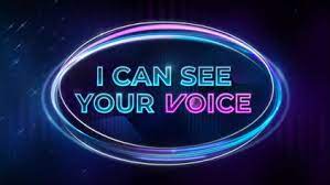 I can see your voice 2024